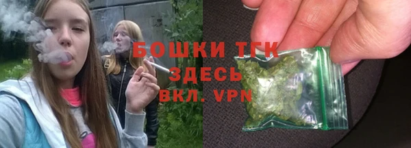СК Аркадак