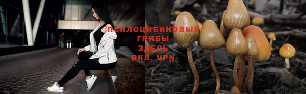 гашиш Арсеньев